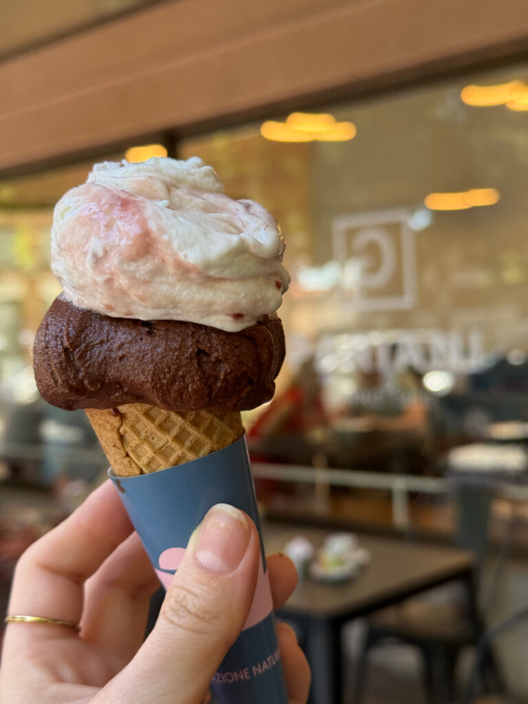 pariani gelateria busto arisizio
