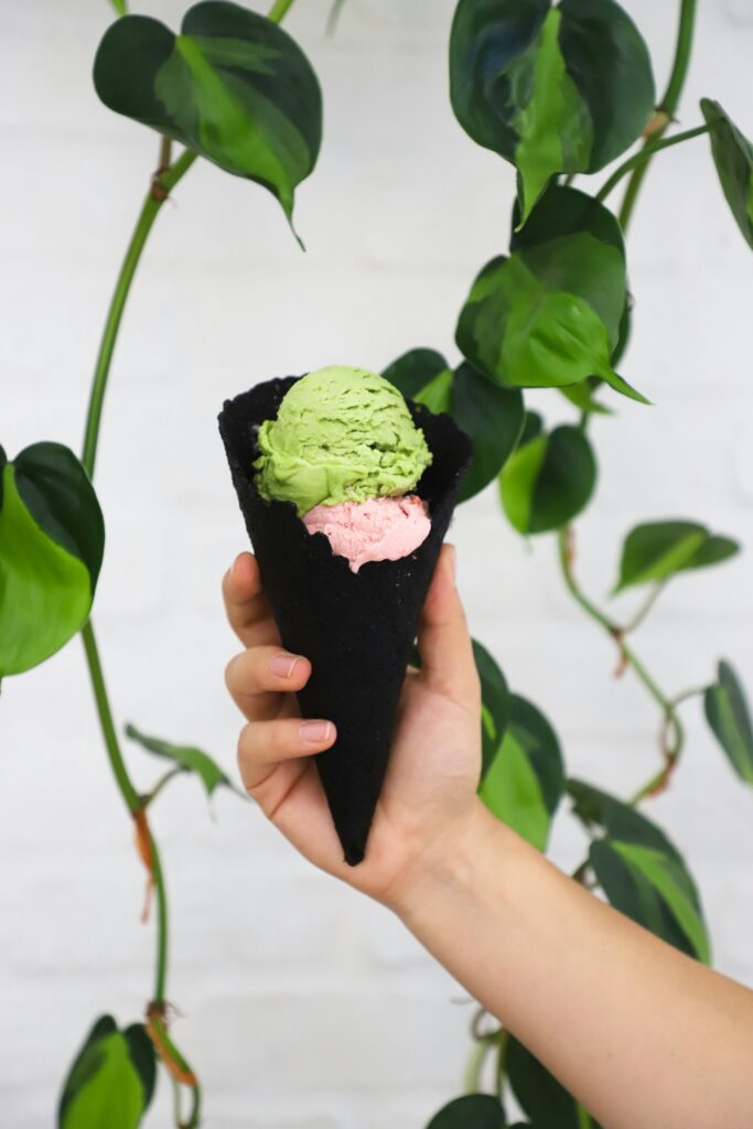 gelato vegano rispetto per la natura